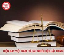 Bộ Luật Hình Sự Việt Nam Không Có Hiệu Lực Áp Dụng Trong Trường Hợp Nào Sau Đây