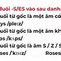 Cách Sử Dụng Bảng Phiên Âm Quốc Tế Ipa