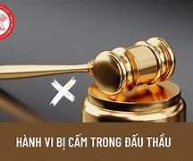 Đất Đấu Thầu Lâu Dài Là Gì