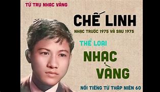 Đẹp Lòng Người Yêu Karaoke Chế Linh